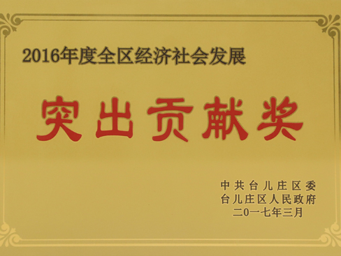 台儿庄区经济社会发展突出贡献奖